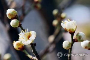 2020.03.16. 기도 _ 꽃샘추위가 가시 같습니다.
