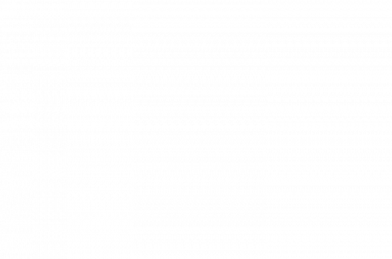 겨자씨에서 길을 찾다(마13:31-32)